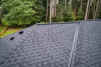 Roofing Services North King County